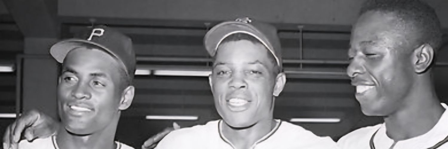 vtamman's profile banner image