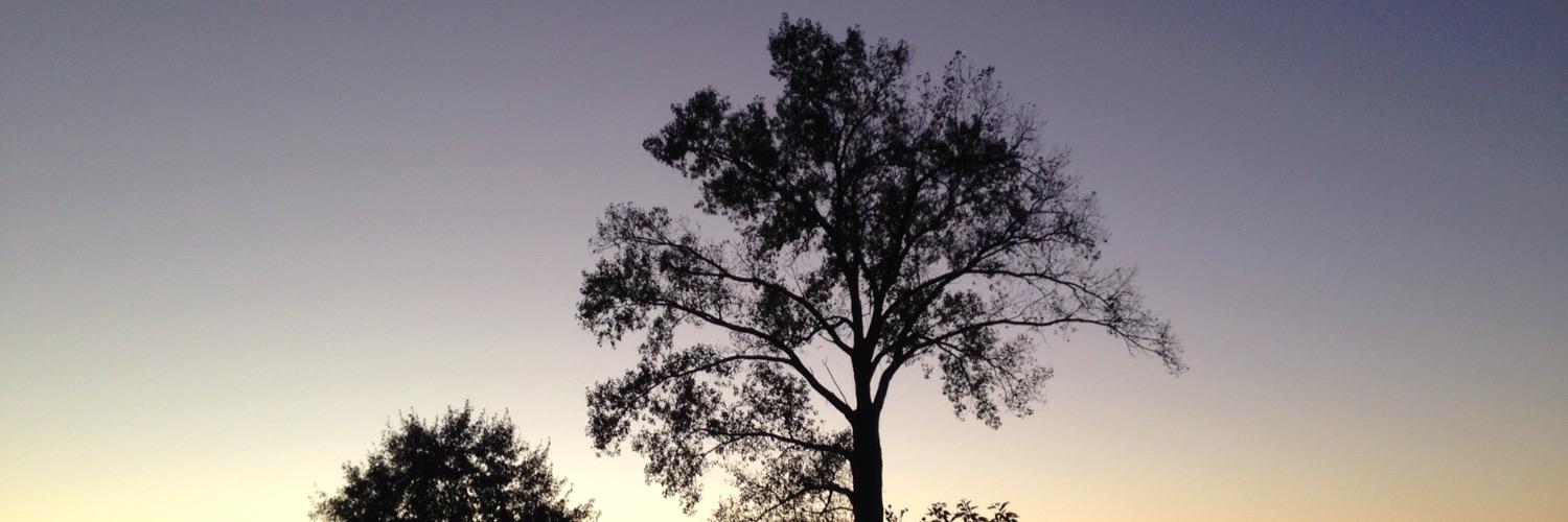 CesarOlayo's profile banner image