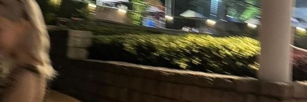 dediosemil's profile banner image
