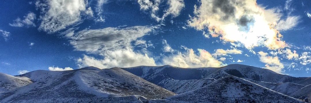 Casey Bertram banner