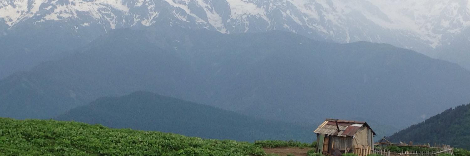 Netanel Dayan banner