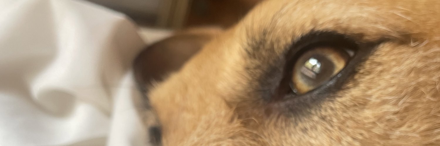 igeanoo's profile banner image