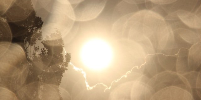 LittleDivaaa__'s profile banner image