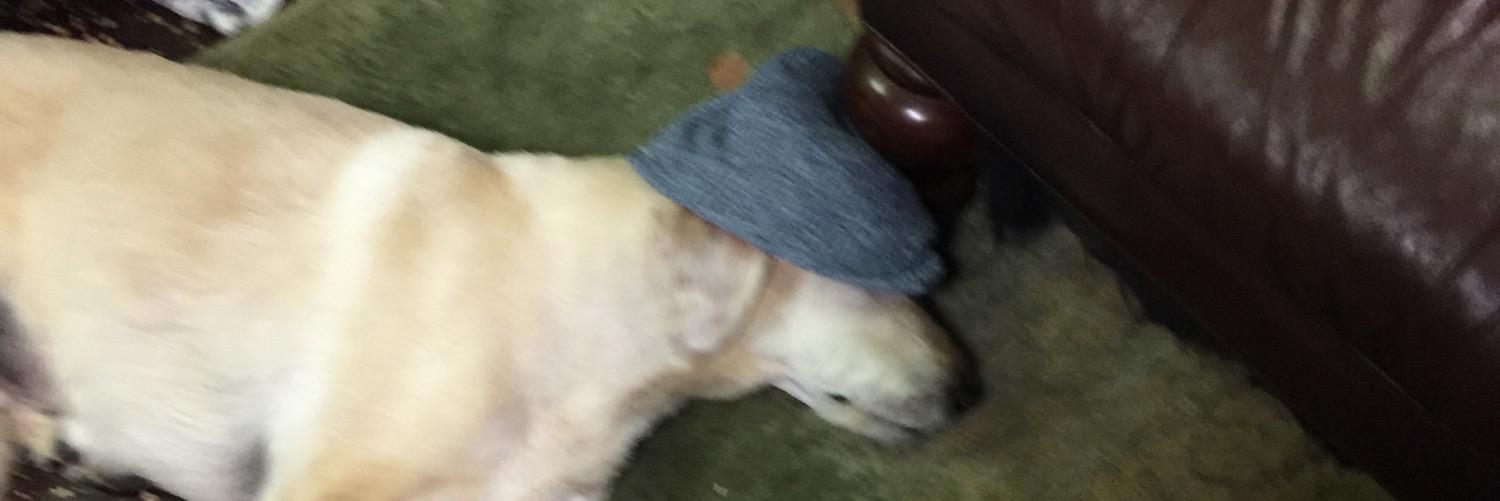 notkegan's profile banner image
