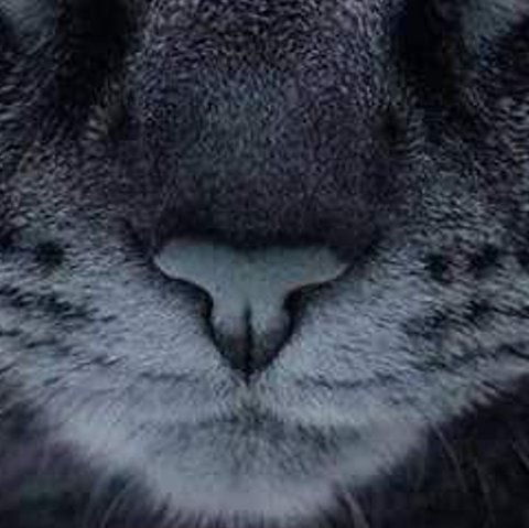 almupdd's profile banner image