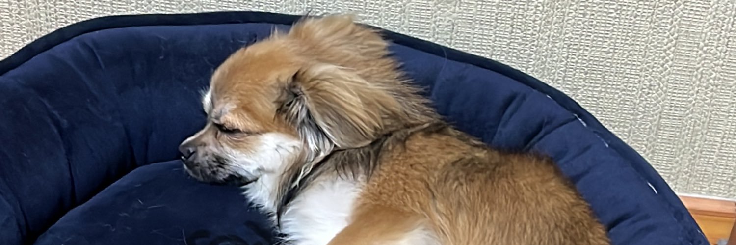 xirlovesbleu's profile banner image