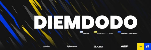DIEMdodoCoach Profile Banner