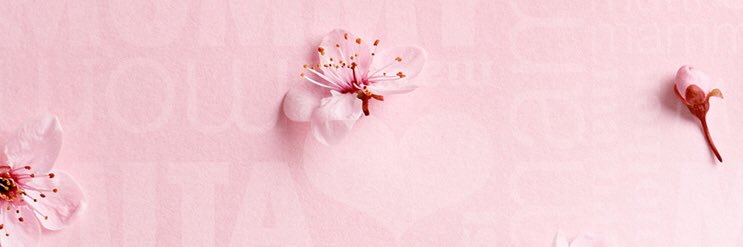 csonka6's profile banner image