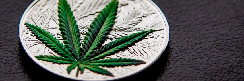 btc_madafaka's profile banner image
