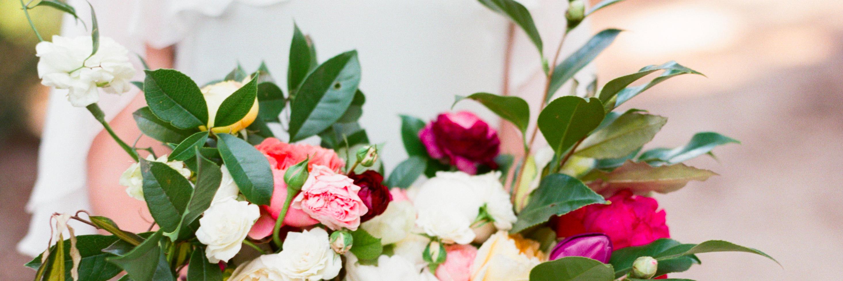 BeckandBloom's profile banner image