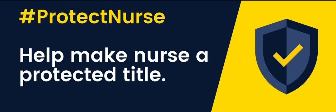 Anissa Djerbib banner