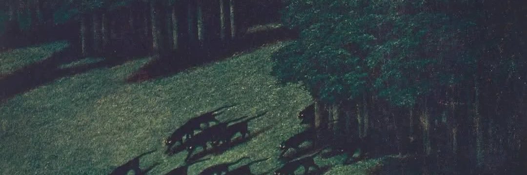 GarManarnar11's profile banner image