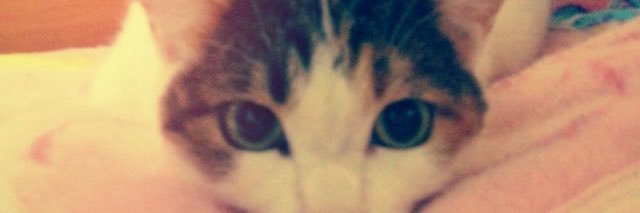 Raaaa_822's profile banner image
