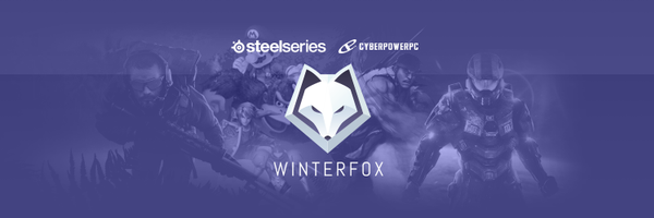 Winterfox Profile Banner