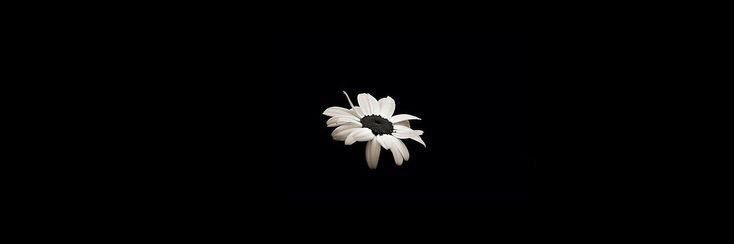 milyespeche's profile banner image