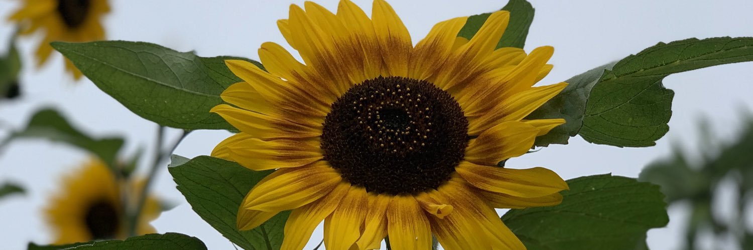 ErinWinstead's profile banner image