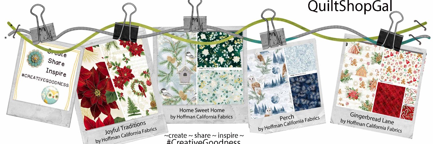 QuiltShopGal's profile banner image