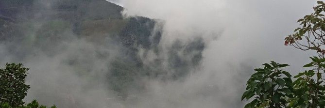 e339cc0a2b034c0's profile banner image