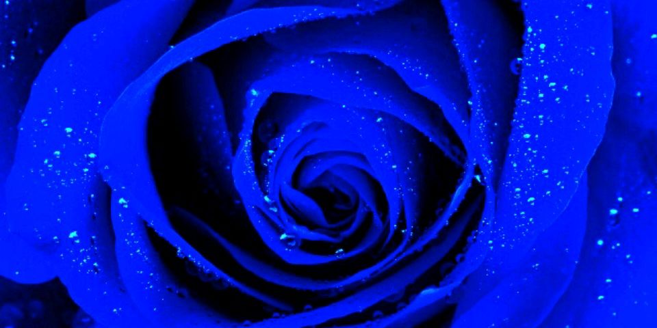 SweetJezette's profile banner image