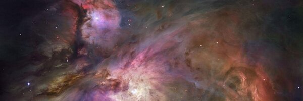 drakonard Profile Banner