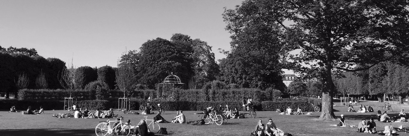 Charlie Fogarty banner