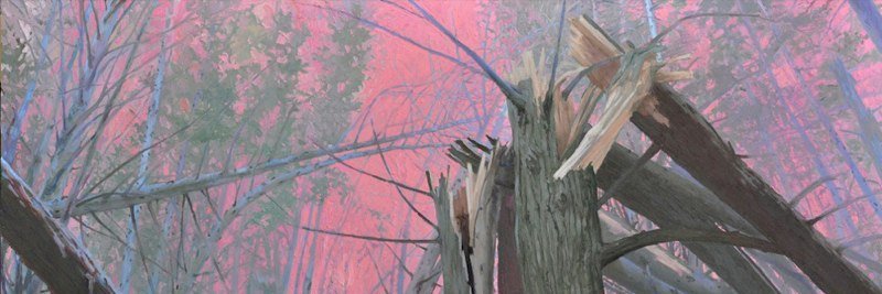 RayCicin's profile banner image