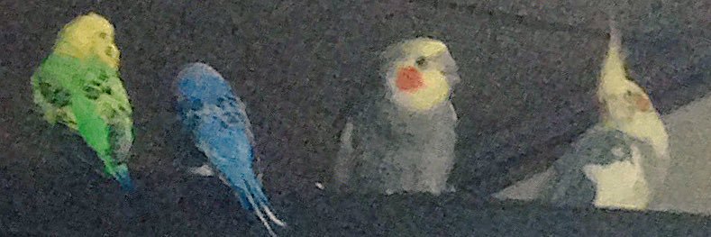 ptenpotety's profile banner image