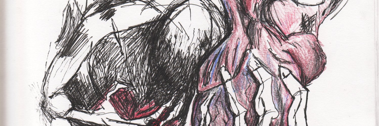SoulPoleMane's profile banner image
