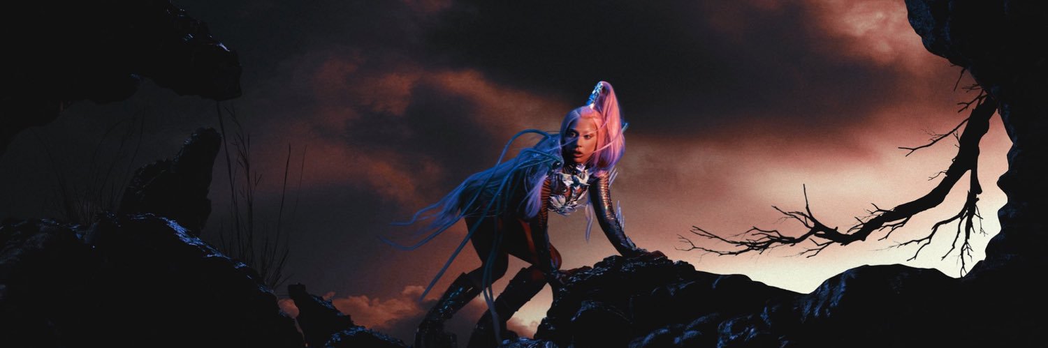 MollyEllen96's profile banner image