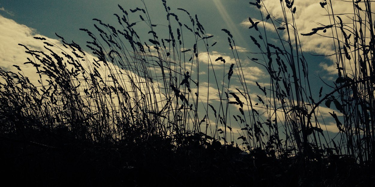 Emma Parker banner