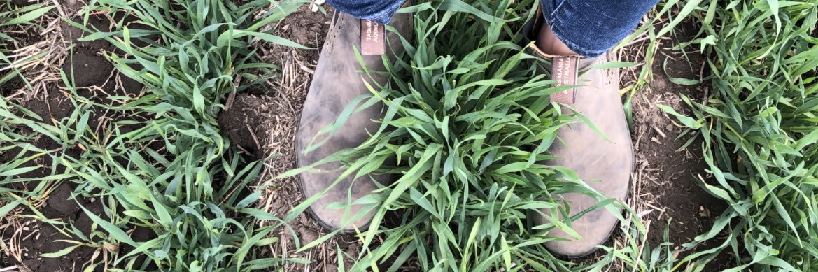 Courtney Visser banner