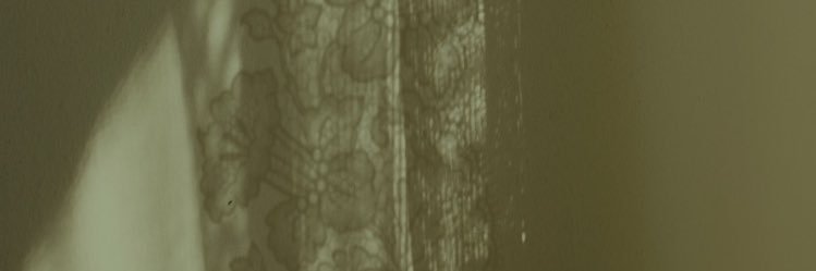 adoppelnie's profile banner image