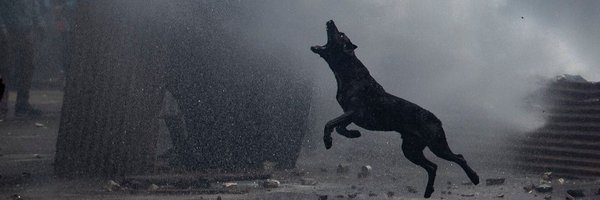 ZerEgin Profile Banner