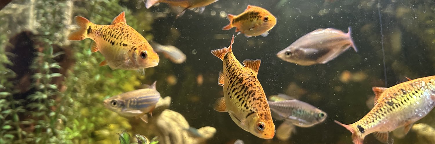 fishkingjg's profile banner image