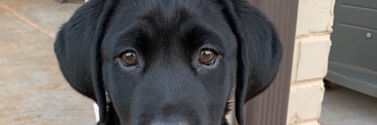 kmarsh0030's profile banner image