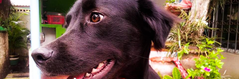 micherlysGil's profile banner image