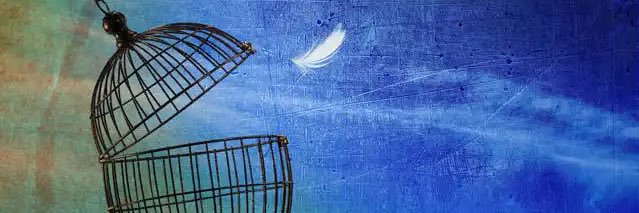 b_venkatt's profile banner image