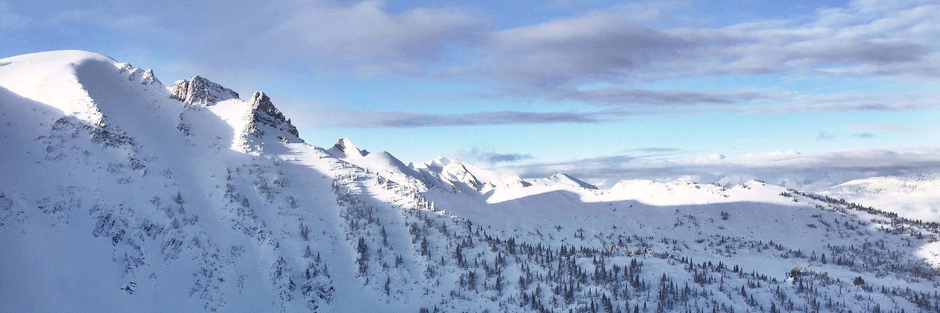 Robert Hurowitz banner