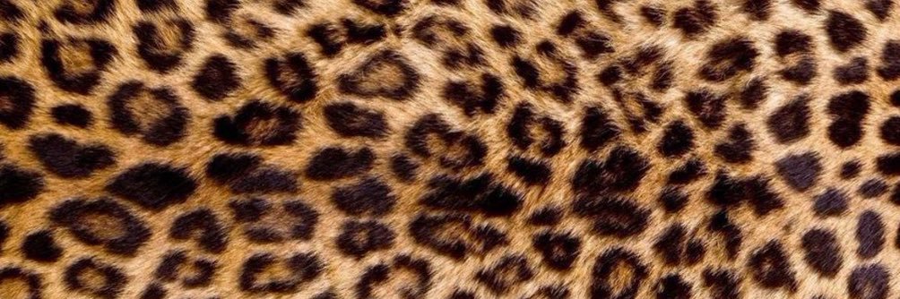 𝙱. banner
