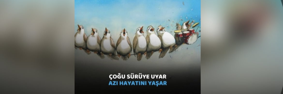 OnuncuKylu's profile banner image