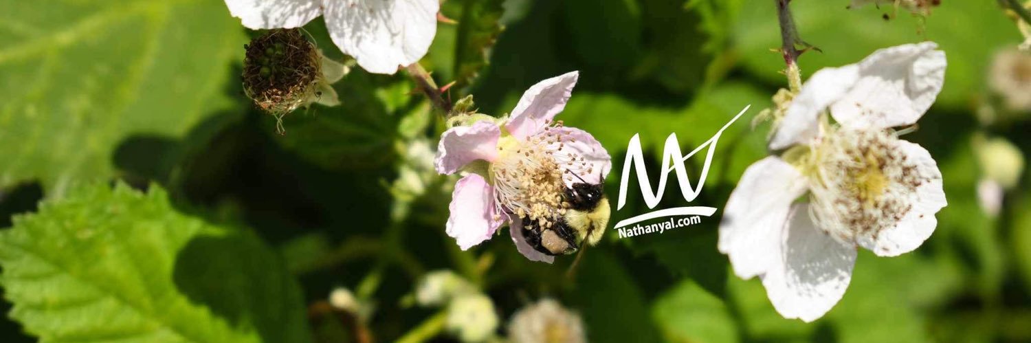 wineandweeds's profile banner image