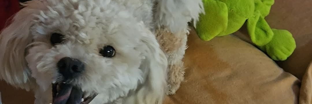 Maria fernanda 💕 banner