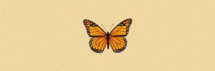 Reineedna's profile banner image