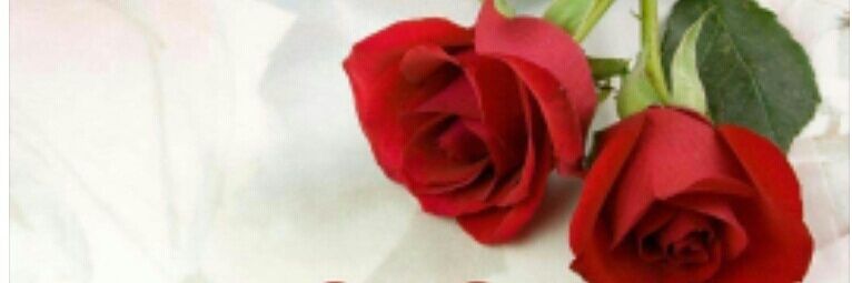 ccerife's profile banner image