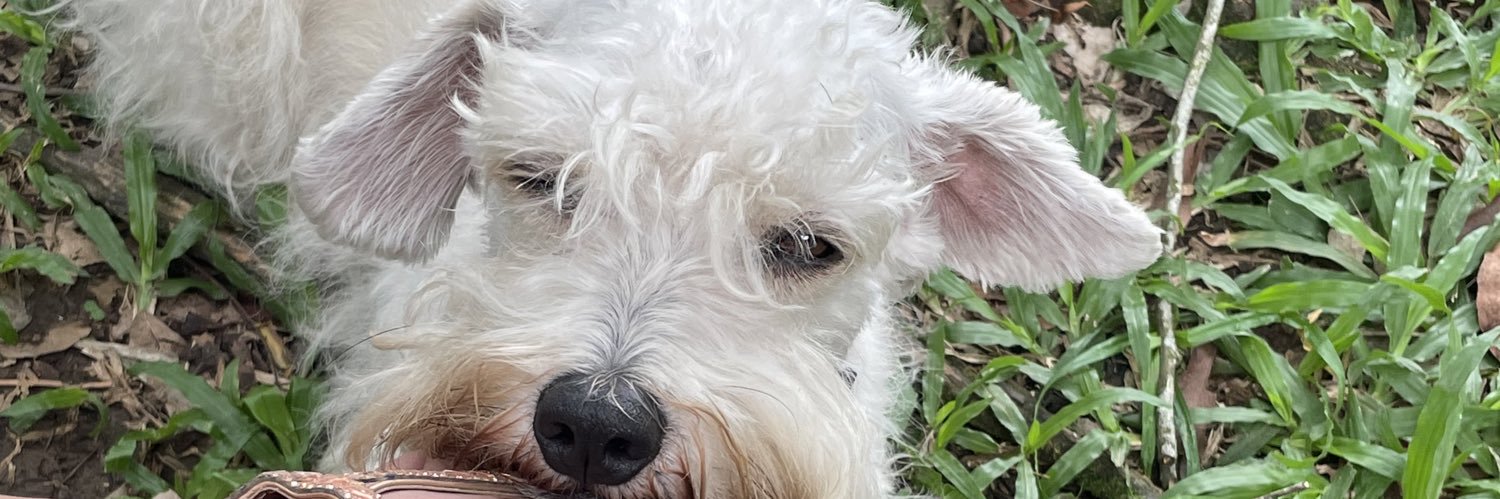 unaBidecidida's profile banner image