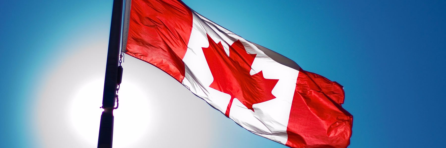 republicainsca's profile banner image