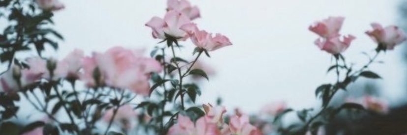 0pen_secrets's profile banner image