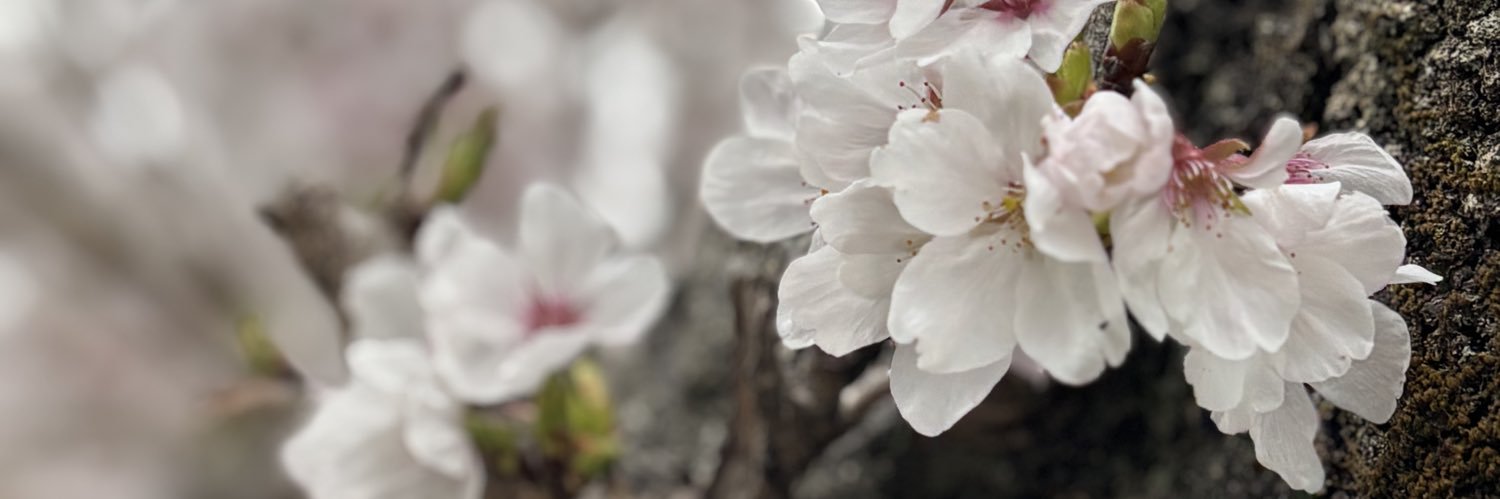 ファンさんです。 banner