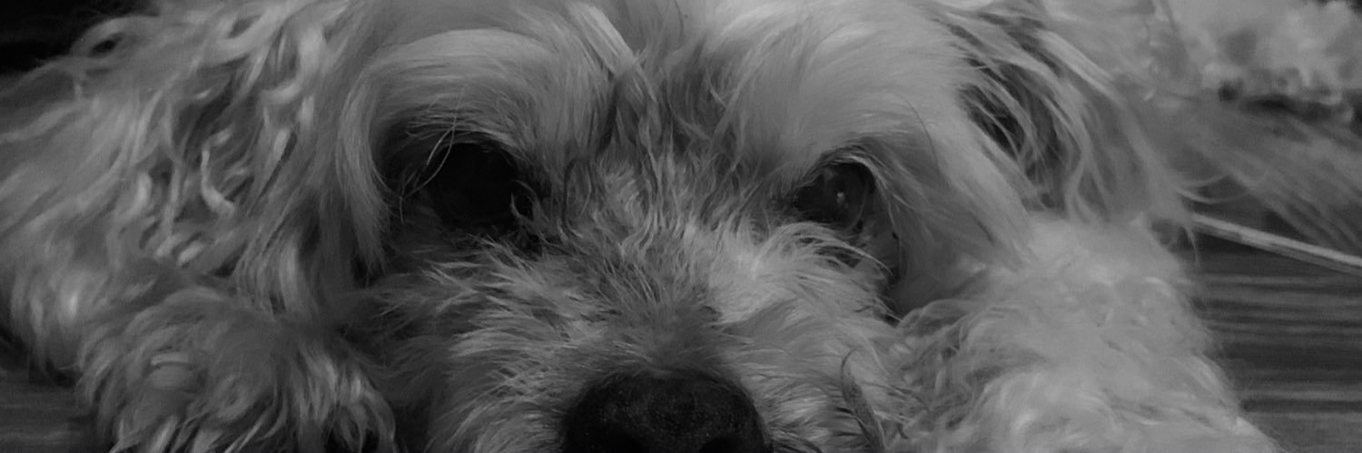 Paaoo14Ramos's profile banner image