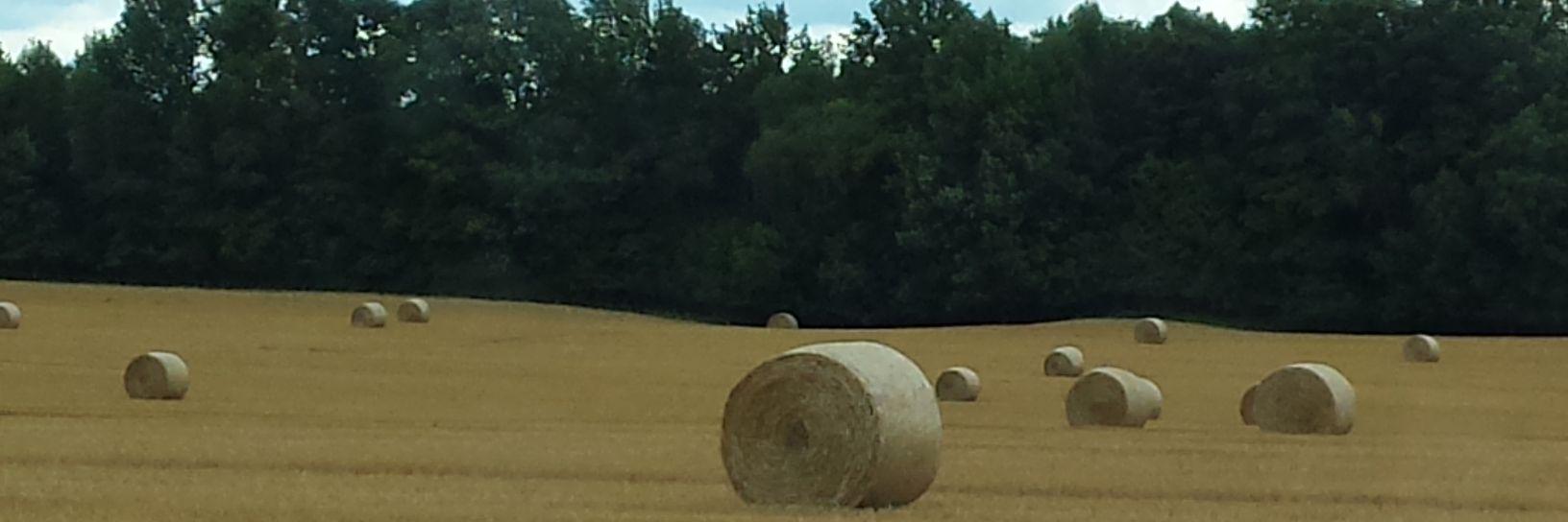 Aaron J. Kates banner